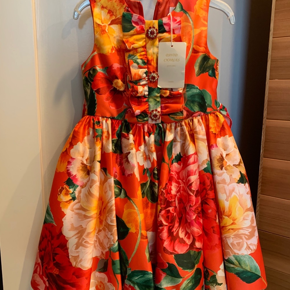 David Charles London Girl fancy formal Dress NWT 4